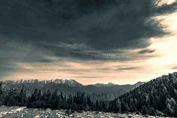 Uitzicht op de natuur