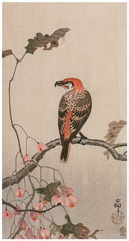 Ohara Koson - Winterharte Begonie und Roter Fichtenkreuzschnabel (bearbeitet)
