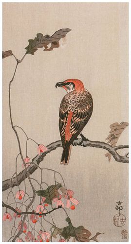 Ohara Koson - Bégonia résistant à l'hiver et bec-croisé rouge de l'épicéa (édité)