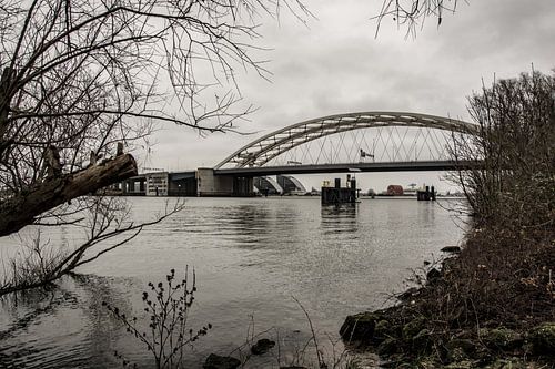 De Brienenoordbrug van het Eiland van Brienenoord