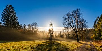 Westweg bij Dobel in het Zwarte Woud bij zonsopgang van Werner Dieterich