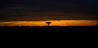 Epic sunset