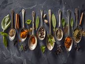 Herbs and spices by haroulita thumbnail