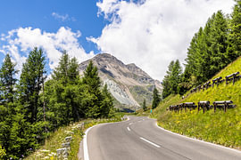 The Grossglockner High Alpine Road in summer by Melanie Viola