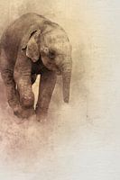 Jonge olifant