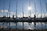 summer day at the marina