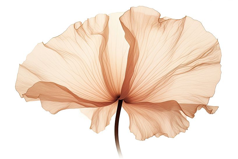 Transparente Blumen von Bert Nijholt