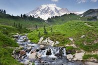 Mount Rainier von Antwan Janssen Miniaturansicht