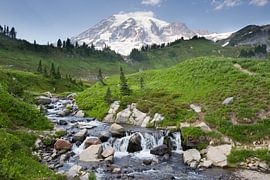 Mount Rainier by Antwan Janssen