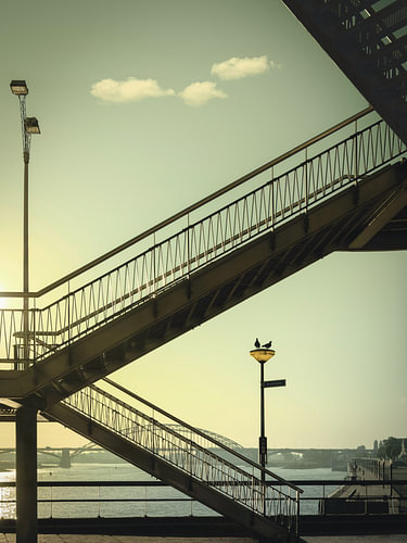 Sonnenaufgang an der Waalbrücke in Nimwegen, Stillleben