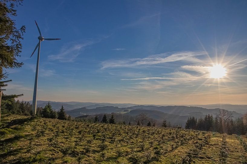 Het voorjaar in Sauerland van Robin Feldmann