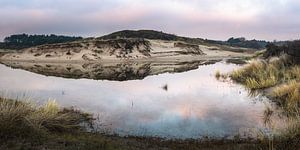 Reflectie in duingebied van Mijendel Wassenaar van Jelmer Laernoes