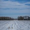 schneebedeckte Landschaft von Andre Klooster