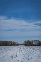 snowy landscape