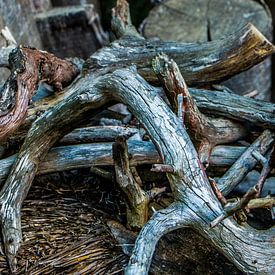 Hout in het bos van Eveline Peters