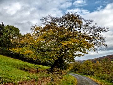 Der Weg ist das Ziel