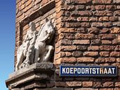 156. Sint Maarten van Domstad Rudie thumbnail
