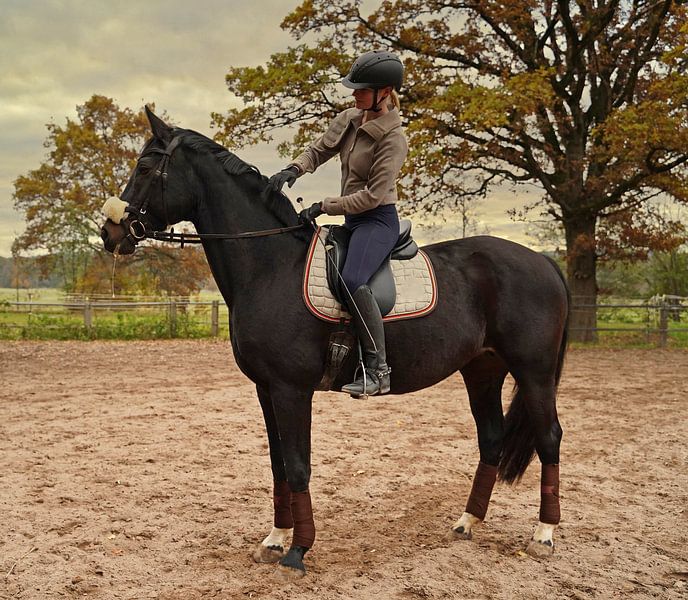 Training mit dem Bayer Rappen Baveria auf einem Reitplatz im Herbst von Babetts Bildergalerie