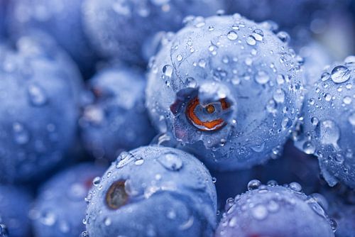 Verse bosbessen met waterdruppels