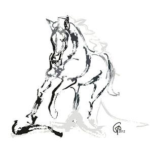 Horse Andalusian Angel by Go van Kampen