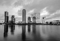 Rotterdam Wilhelmina Pier head of south black and white