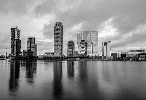 Rotterdam Wilhelmina Pier head of south black and white