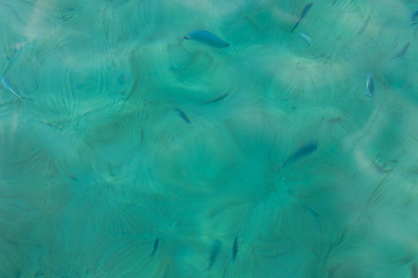 Fish in the sea by Marika Huisman fotografie