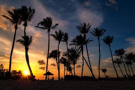 Sentosa Sunset van Bart Hendrix