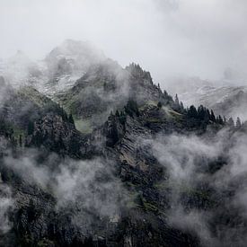 Misty Mornings van Frans Andree