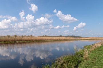 Elbe Unesco biosphere reserve. van Richard Wareham