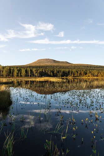 Icône de Dalarna, Suède | Le Mont Städjan et son Reflet