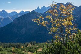Autumn in the Allgäu Alps by Walter G. Allgöwer