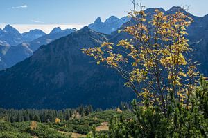 Herbst in den Allgäuer Alpen