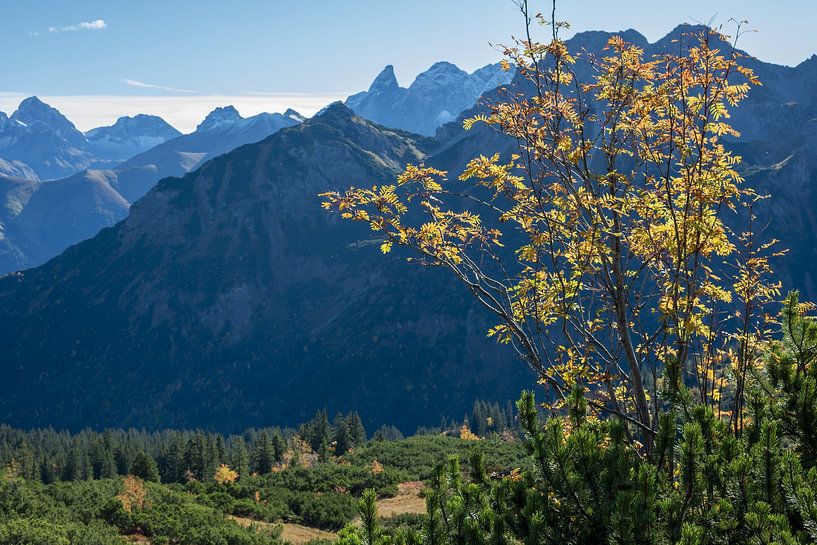 Herfst in de Allgäuer Alpen van Walter G. Allgöwer