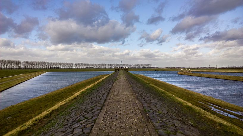 Polder landscape van rosstek ®