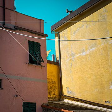 Colors of Cinque Terre van Lima Fotografie
