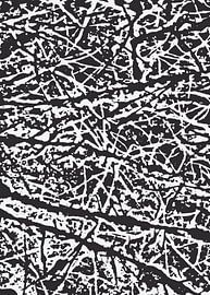 BRANCHES BLACK-WHITE