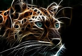 The Leopard by Bert Hooijer