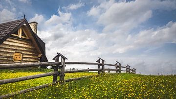 Zakopane sur rosstek ®