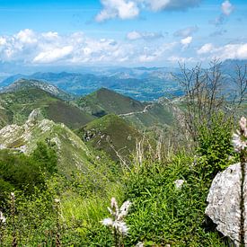 prachtig uitzicht op de Picos de Europa in Spanje met de velden en de hoge rotsen van ChrisWillemsen