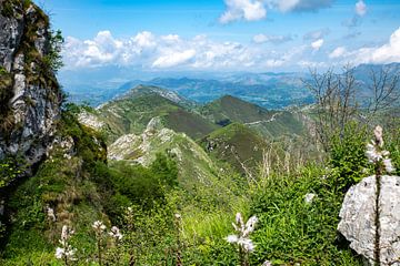 prachtig uitzicht op de Picos de Europa in Spanje met de velden en de hoge rotsen van ChrisWillemsen