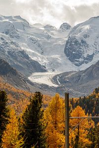 Blick auf den Morteratschgletscher in der Schweiz