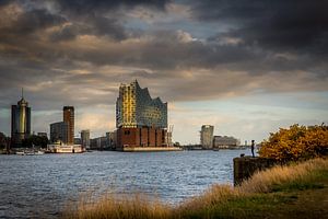 Elbphilharmonie in schönem Herbstlicht