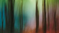 True colors