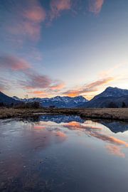 At the biotope