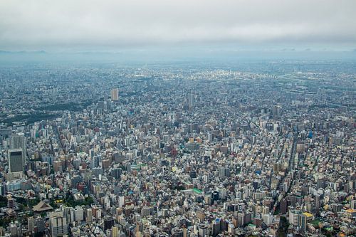 Blick über Tokio, Japan