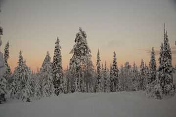 Landschap lapland