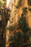 Mediterrane Balkone: Urban Jungle in Barcelona