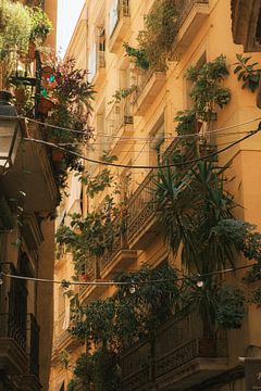 Mediterrane balkons: stedelijke jungle in Barcelona van NZME Photography