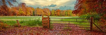 Hollands landschap in de herfst van eric van der eijk